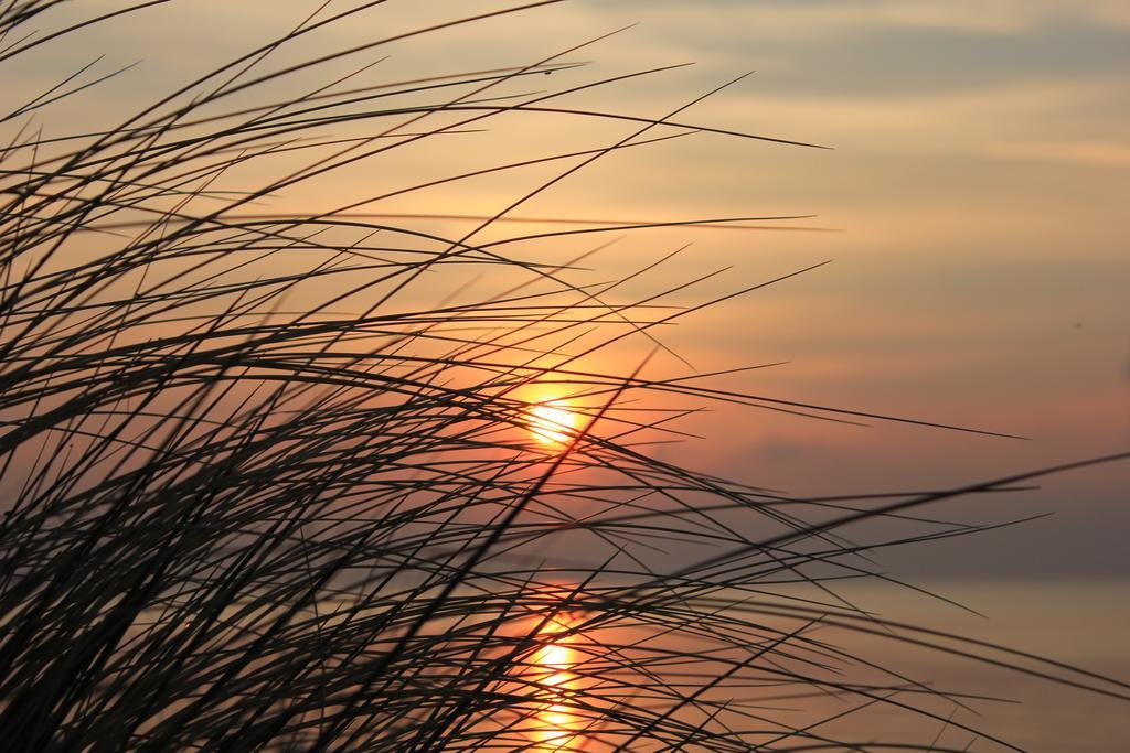 Appartmentanlage Zur Duene Insel Poel Ruang foto
