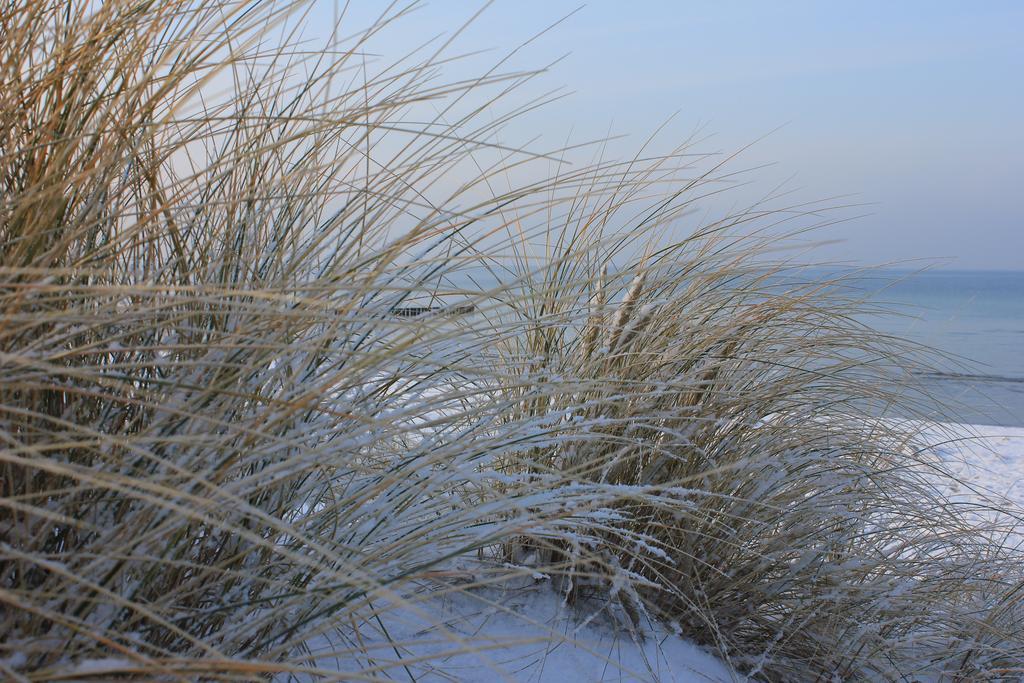 Appartmentanlage Zur Duene Insel Poel Ruang foto